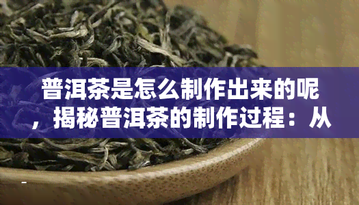 普洱茶是怎么制作出来的呢，揭秘普洱茶的制作过程：从叶到成品的奇妙旅程