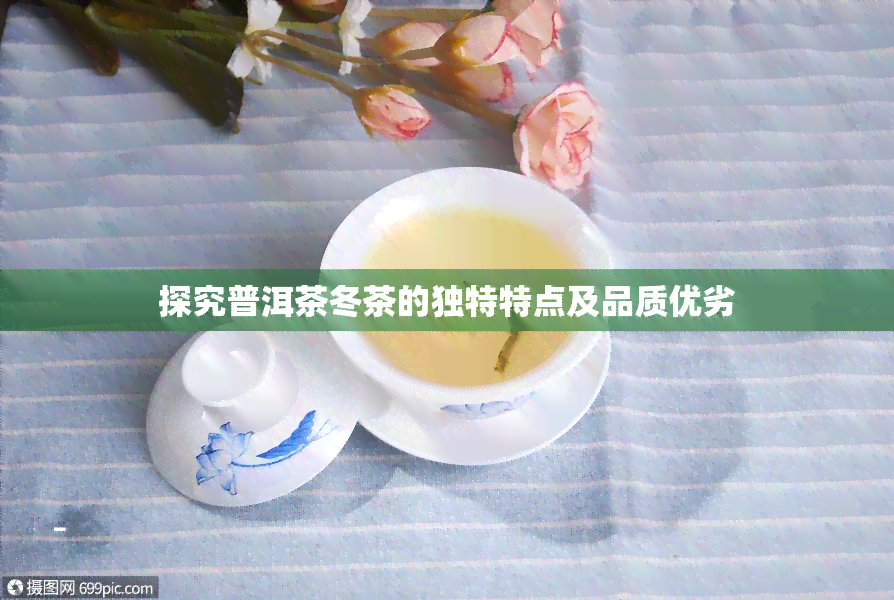 探究普洱茶冬茶的独特特点及品质优劣