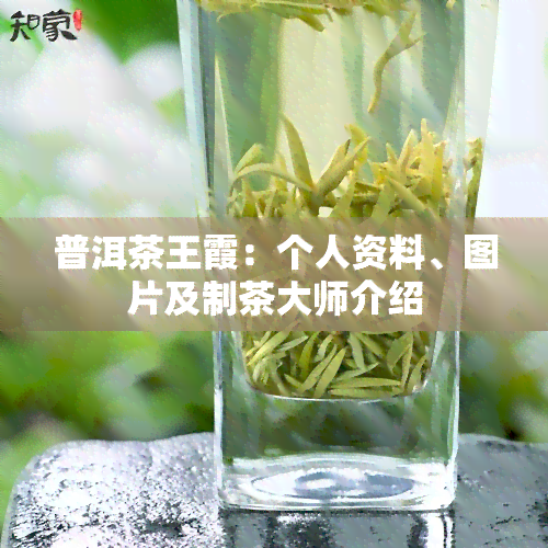 普洱茶王霞：个人资料、图片及制茶大师介绍