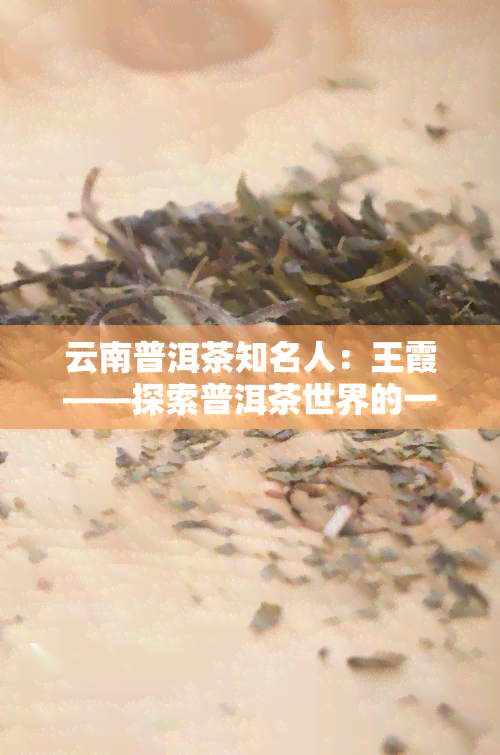 云南普洱茶知名人：王霞——探索普洱茶世界的一位重要人物