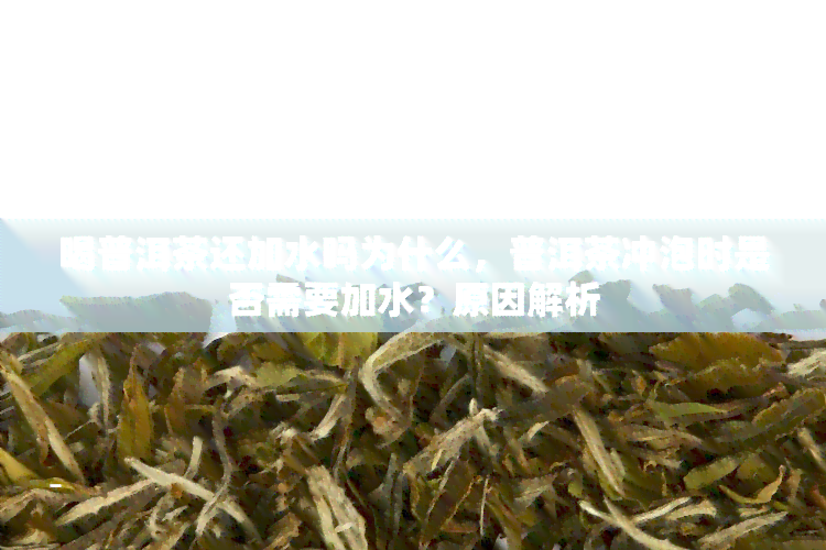 喝普洱茶还加水吗为什么，普洱茶冲泡时是否需要加水？原因解析