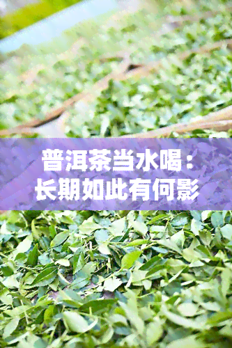 普洱茶当水喝：长期如此有何影响？