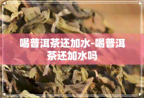 喝普洱茶还加水-喝普洱茶还加水吗