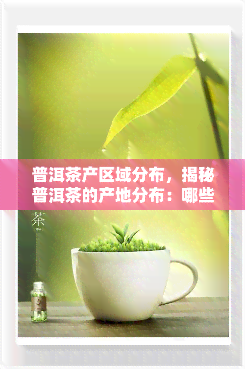 JN江南体育最新官网入口普洱茶产区域-普洱茶产区域有哪些(图4)