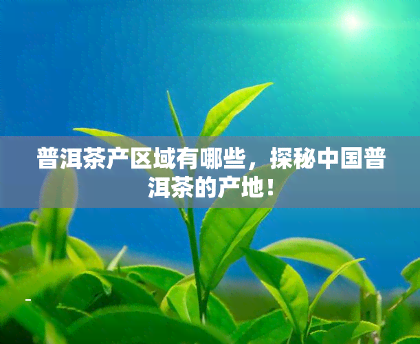 JN江南体育最新官网入口普洱茶产区域-普洱茶产区域有哪些(图6)