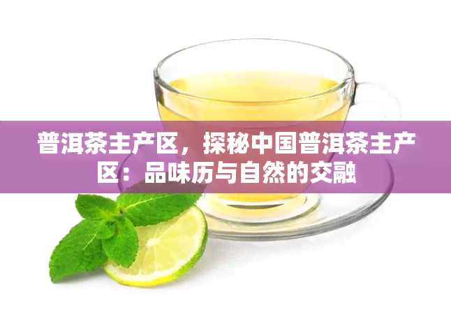 JN江南体育最新官网入口普洱茶产区域-普洱茶产区域有哪些(图2)