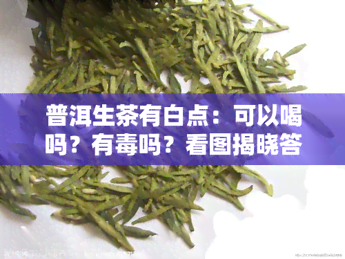 普洱生茶有白点：可以喝吗？有吗？看图揭晓答案！