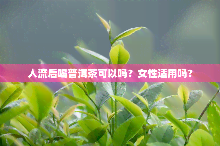 人流后喝普洱茶可以吗？女性适用吗？