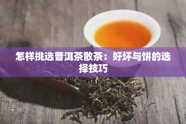 怎样挑选普洱茶散茶：好坏与饼的选择技巧