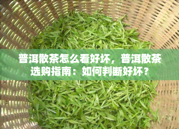 普洱散茶怎么看好坏，普洱散茶选购指南：如何判断好坏？