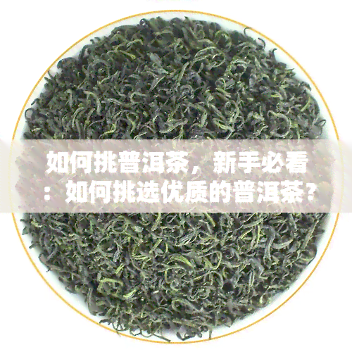 如何挑普洱茶，新手必看：如何挑选优质的普洱茶？