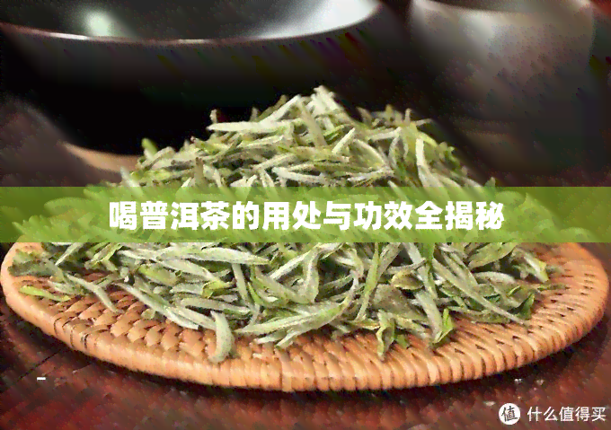 喝普洱茶的用处与功效全揭秘