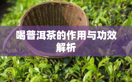 喝普洱茶的作用与功效解析