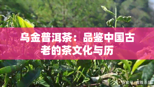 乌金普洱茶：品鉴中国古老的茶文化与历