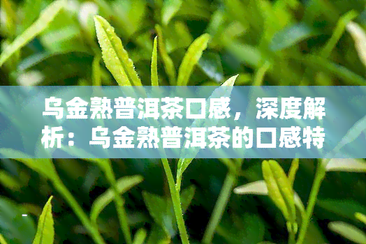 乌金熟普洱茶口感，深度解析：乌金熟普洱茶的口感特点与品尝技巧