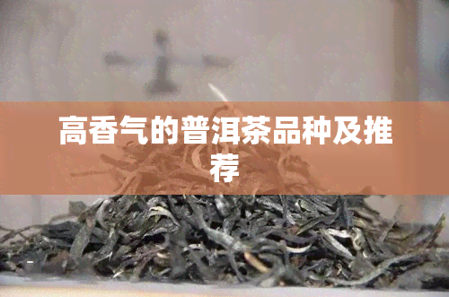 高香气的普洱茶品种及推荐