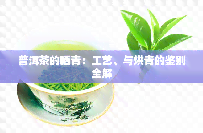 普洱茶的晒青：工艺、与烘青的鉴别全解