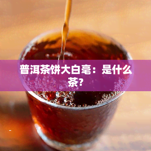 普洱茶饼大白毫：是什么茶？