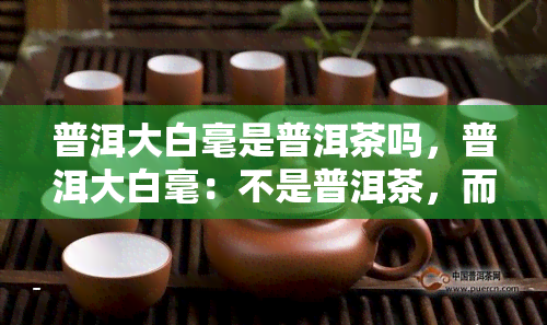 普洱大白毫是普洱茶吗，普洱大白毫：不是普洱茶，而是普洱茶的一种原料