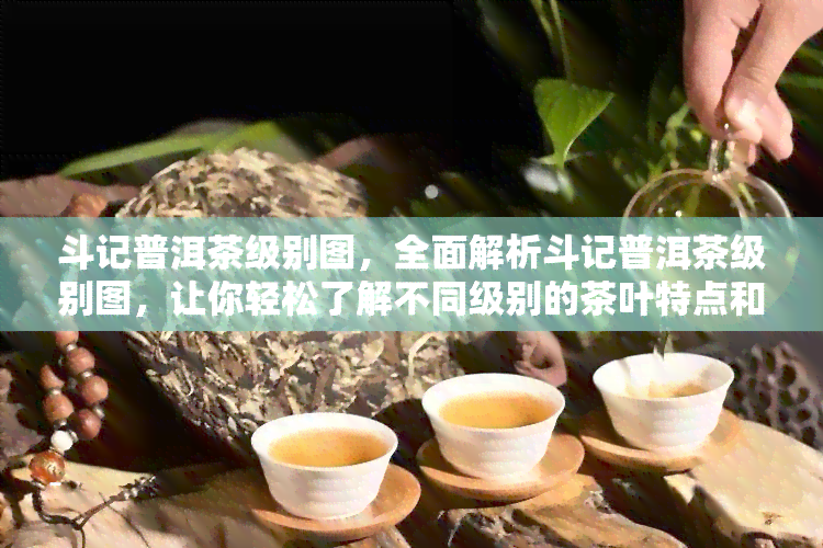 斗记普洱茶级别图，全面解析斗记普洱茶级别图，让你轻松了解不同级别的茶叶特点和区别！