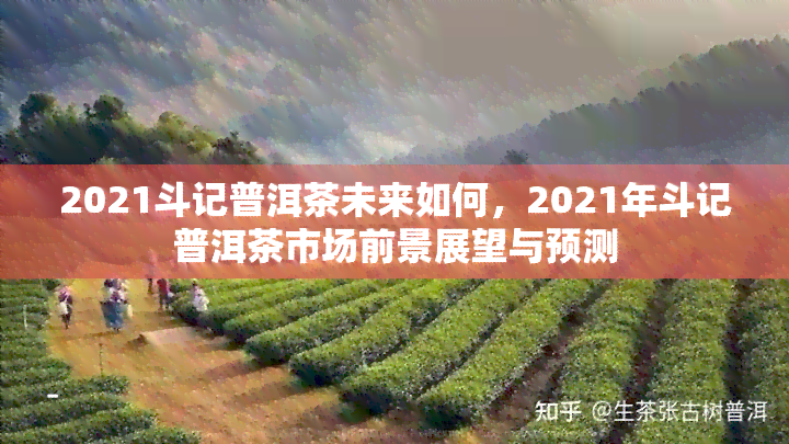 2021斗记普洱茶未来如何，2021年斗记普洱茶市场前景展望与预测