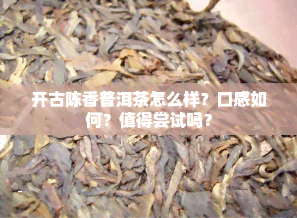 开古陈香普洱茶怎么样？口感如何？值得尝试吗？