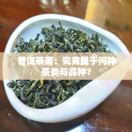 普洱茶膏：究竟属于何种茶类与品种？