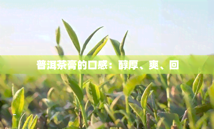 普洱茶膏的口感：醇厚、爽、回