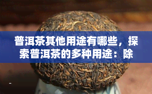 普洱茶其他用途有哪些，探索普洱茶的多种用途：除了饮用，它还能用来做什么？