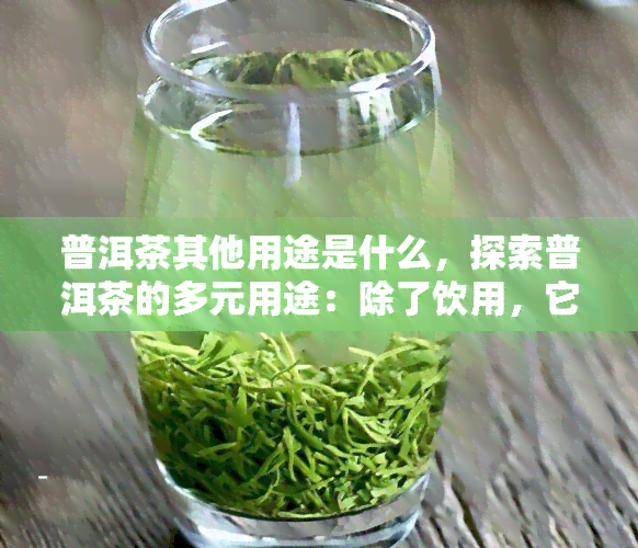 普洱茶其他用途是什么，探索普洱茶的多元用途：除了饮用，它还有哪些神奇功效？