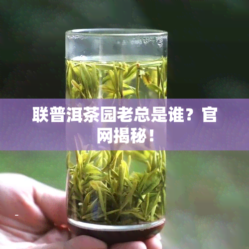 联普洱茶园老总是谁？官网揭秘！