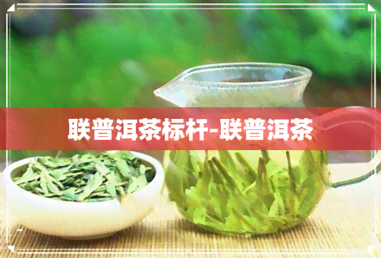 联普洱茶标杆-联普洱茶