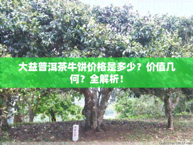 大益普洱茶牛饼价格是多少？价值几何？全解析！