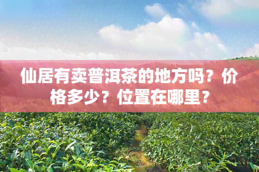 仙居有卖普洱茶的地方吗？价格多少？位置在哪里？