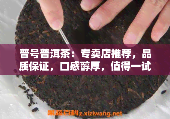 普号普洱茶：专卖店推荐，品质保证，口感醇厚，值得一试！