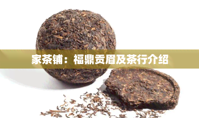 家茶铺：福鼎贡眉及茶行介绍