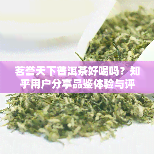 茗誉天下普洱茶好喝吗？知乎用户分享品鉴体验与评价