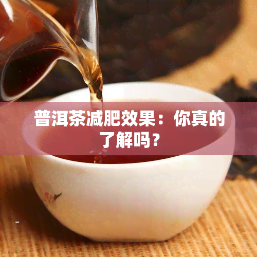 普洱茶减肥效果：你真的了解吗？