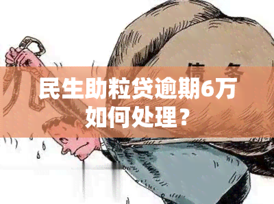 民生助粒贷逾期6万如何处理？