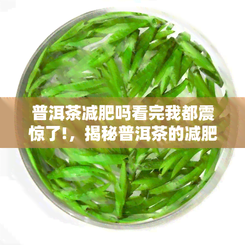 普洱茶减肥吗看完我都震惊了!，揭秘普洱茶的减肥效果，让你大吃一惊！