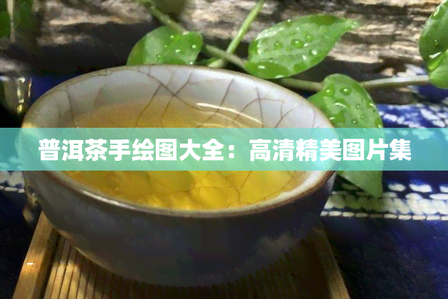 普洱茶手绘图大全：高清精美图片集