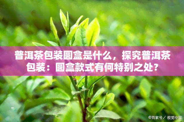 普洱茶包装圆盒是什么，探究普洱茶包装：圆盒款式有何特别之处？