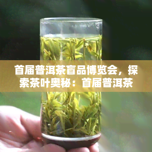 首届普洱茶盲品博览会，探索茶叶奥秘：首届普洱茶盲品博览会在等着你！