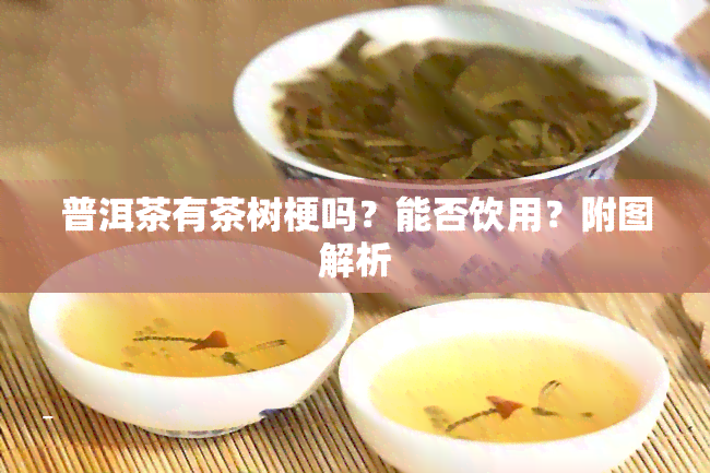 普洱茶有茶树梗吗？能否饮用？附图解析