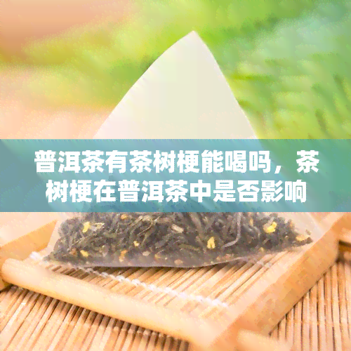 普洱茶有茶树梗能喝吗，茶树梗在普洱茶中是否影响口感？可以放心饮用吗？