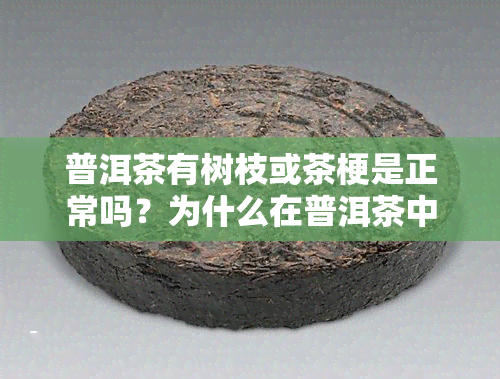 普洱茶有树枝或茶梗是正常吗？为什么在普洱茶中发现大量树干残余物并不罕见