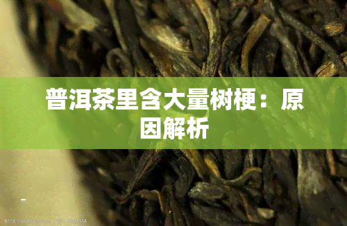 普洱茶里含大量树梗：原因解析