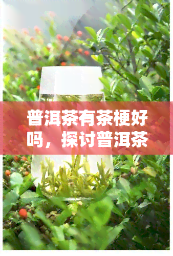 普洱茶有茶梗好吗，探讨普洱茶中的茶梗：它们对茶叶品质有何影响？