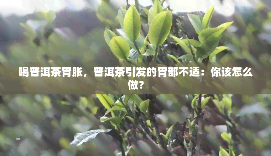 喝普洱茶胃胀，普洱茶引发的胃部不适：你该怎么做？