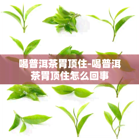 喝普洱茶胃顶住-喝普洱茶胃顶住怎么回事